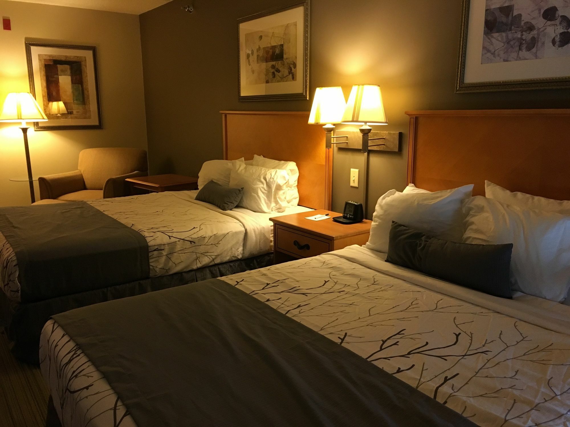 Wingate By Wyndham 3* Coon Rapids